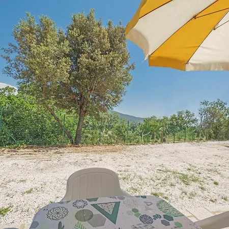 La Vecchia Quercia *