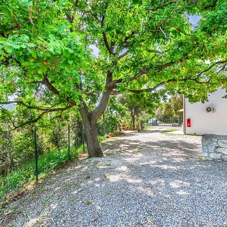 Apartment La Vecchia Quercia